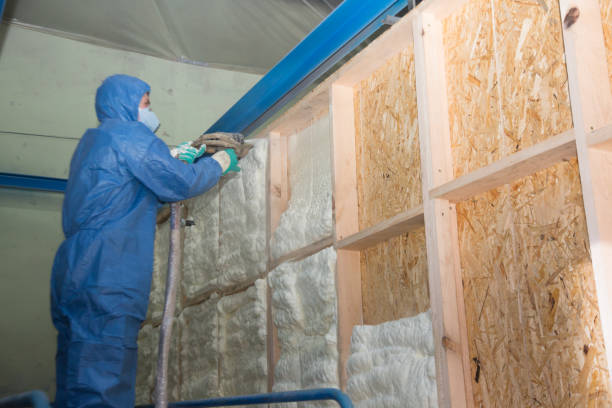 Best Insulation Removal Services  in Lantana, FL